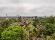 Unlock Your Travel Dreams - Consulado de Guatemala Services Await!