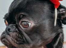 Get Your Midweek Chuckle with Hilarious Wednesday Quotes!