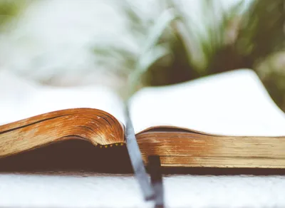 Boost Your Vocabulary with the Word of the Day!