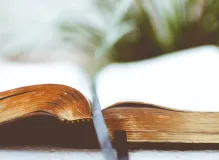 Boost Your Vocabulary with the Word of the Day!