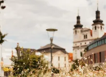 Unlock Your Midweek Inspiration with Wednesday Wisdom Quotes