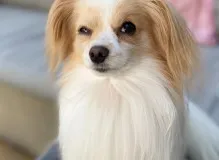 Hilarious Quotes to Brighten Your Wednesday