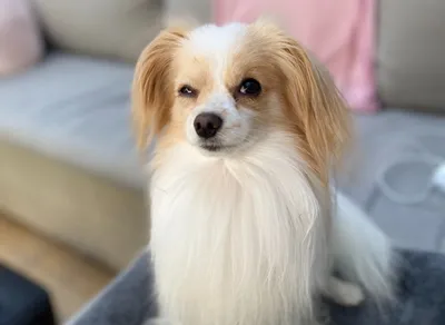 Hilarious Quotes to Brighten Your Wednesday