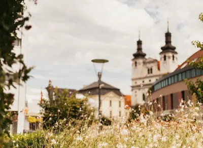 Unlock Your Midweek Inspiration with Wednesday Wisdom Quotes