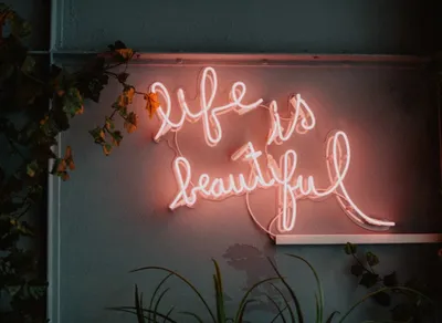 Get Your Funny Wednesday Quotes Here! Laugh Your Way Through the Week