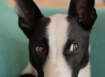 Get Your LOLs with Hilarious Wednesday Funny Quotes