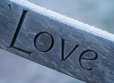 Discover the Unveiled Wisdom: Word of the Day Delights