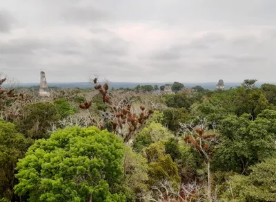 Unlock Your Travel Dreams - Consulado de Guatemala Services Await!