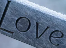 Discover the Unveiled Wisdom: Word of the Day Delights