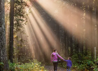 Revive Your Day with Inspirational Quotes for Daily Motivation