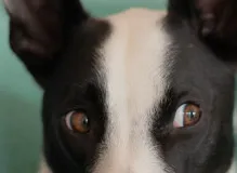 Get Your LOLs with Hilarious Wednesday Funny Quotes