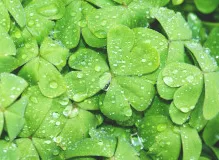 Boost Your Mood with Inspiring Have a Great Day Quotes!