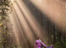 Revive Your Day with Inspirational Quotes for Daily Motivation