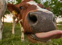 Hilarious Wednesday Quotes to Brighten Your Day